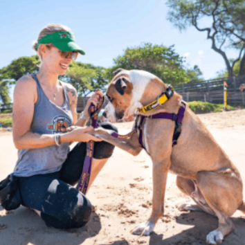🐾 Adopting a Dog for a Day: The Maui Humane Society Program That Lets You Give Back