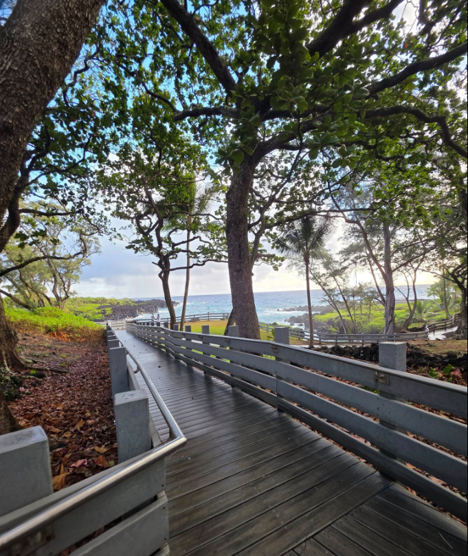 🏝️ The Road Less Traveled: Exploring the ‘Other Side’ of the Road to Hana