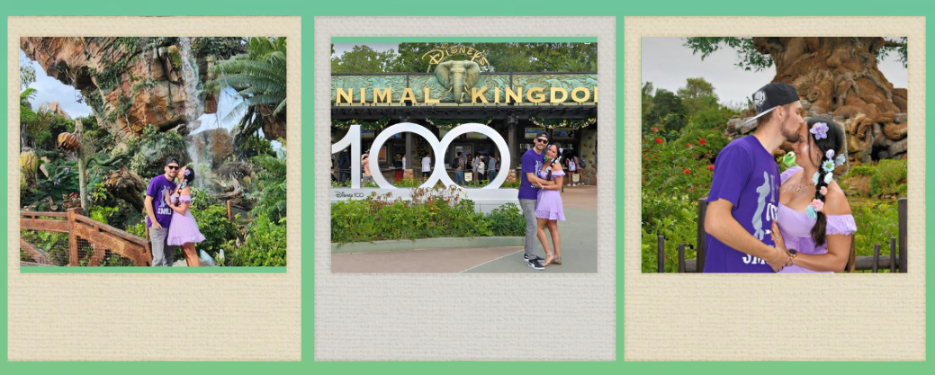 What to Pack for Animal Kingdom: The Ultimate Explorer's Guide